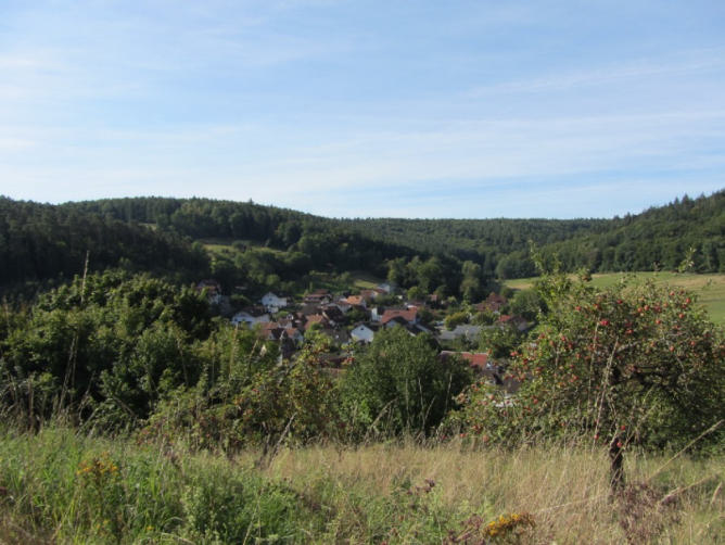 Foto 11 von 15 — Baugrundstück