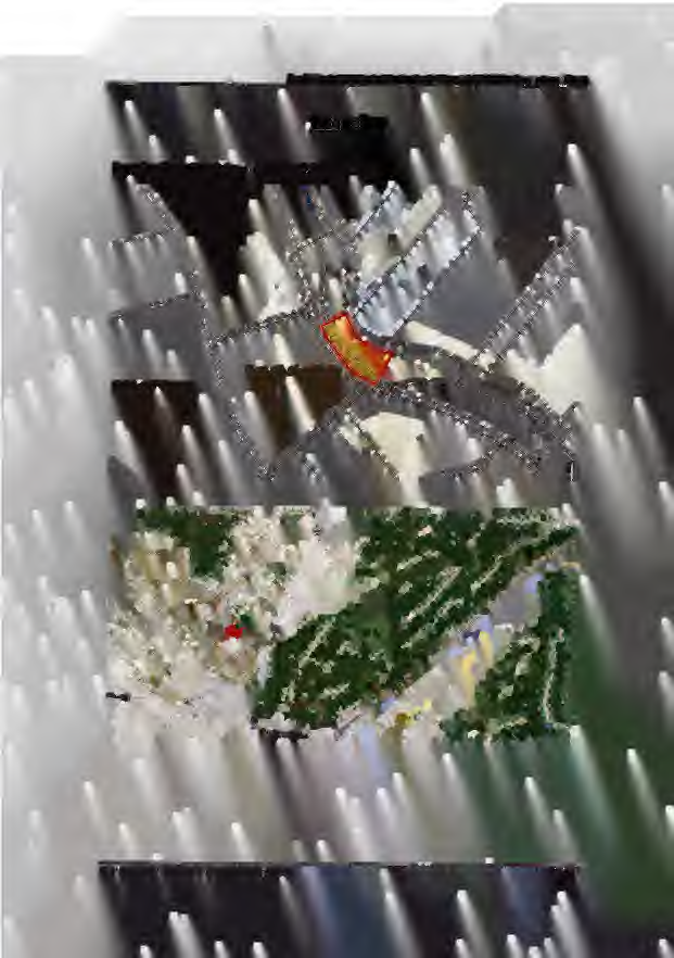 Foto 22 von 22 — land- und forstwirtschaftlich genutztes Grundstück