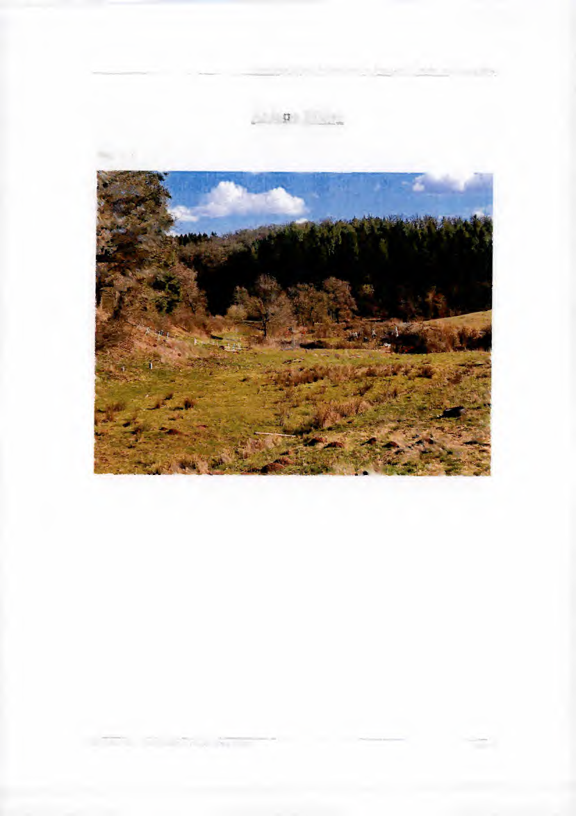 Foto 19 von 22 — land- und forstwirtschaftlich genutztes Grundstück
