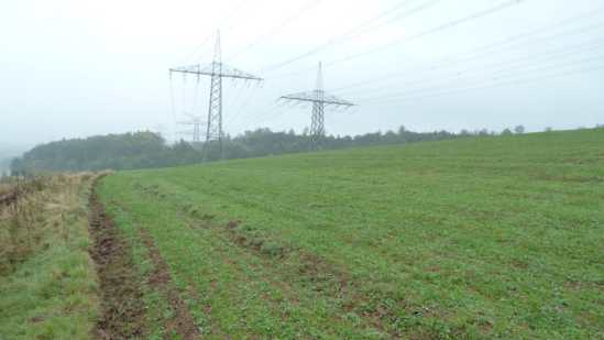 Foto 9 von 15 — land- und forstwirtschaftlich genutztes Grundstück