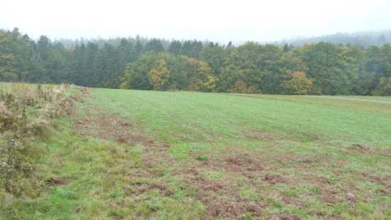 Foto 6 von 15 — land- und forstwirtschaftlich genutztes Grundstück
