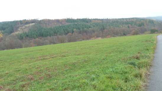 Foto 8 von 15 — land- und forstwirtschaftlich genutztes Grundstück