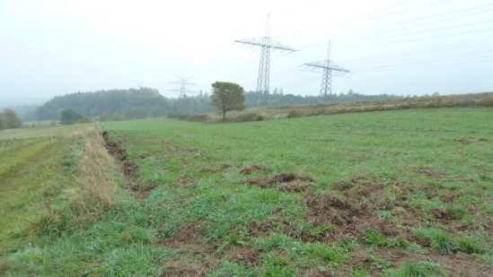 Foto 5 von 15 — land- und forstwirtschaftlich genutztes Grundstück