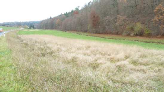 Foto 13 von 30 — land- und forstwirtschaftlich genutztes Grundstück