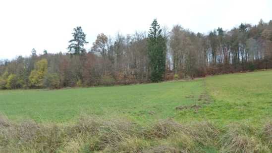 Foto 12 von 30 — land- und forstwirtschaftlich genutztes Grundstück