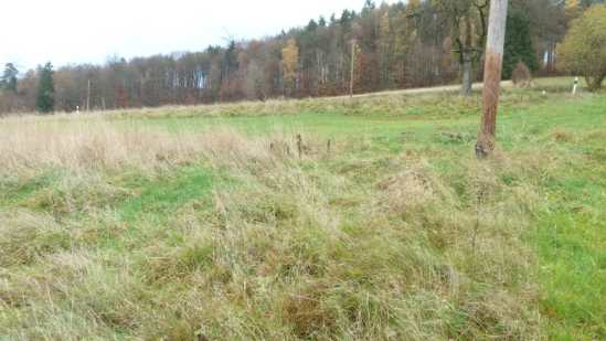 Foto 5 von 30 — land- und forstwirtschaftlich genutztes Grundstück
