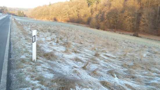 Foto 10 von 30 — land- und forstwirtschaftlich genutztes Grundstück