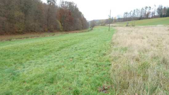 Foto 22 von 30 — land- und forstwirtschaftlich genutztes Grundstück