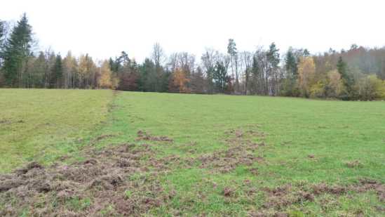 Foto 16 von 30 — land- und forstwirtschaftlich genutztes Grundstück