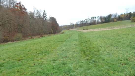 Foto 20 von 30 — land- und forstwirtschaftlich genutztes Grundstück