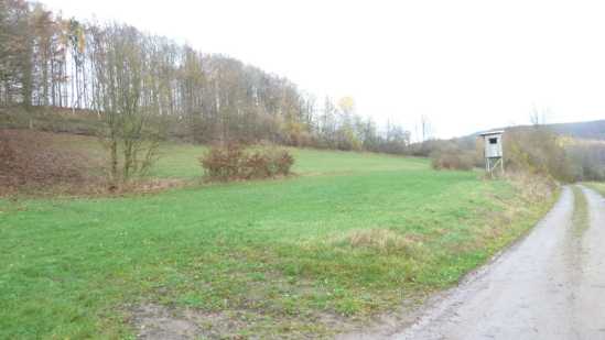 Foto 2 von 30 — land- und forstwirtschaftlich genutztes Grundstück