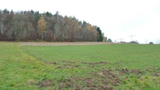 Foto 8 von 30 — land- und forstwirtschaftlich genutztes Grundstück