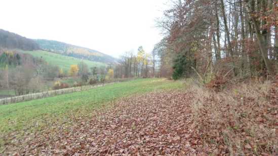 Foto 18 von 30 — land- und forstwirtschaftlich genutztes Grundstück