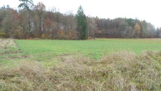 Foto 11 von 30 — land- und forstwirtschaftlich genutztes Grundstück