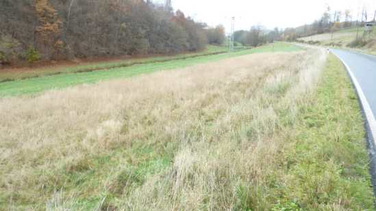 Foto 14 von 30 — land- und forstwirtschaftlich genutztes Grundstück
