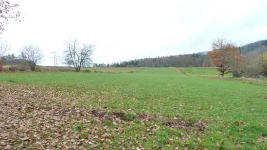 Foto 26 von 30 — land- und forstwirtschaftlich genutztes Grundstück