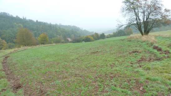 Foto 24 von 30 — land- und forstwirtschaftlich genutztes Grundstück