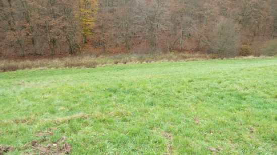 Foto 21 von 30 — land- und forstwirtschaftlich genutztes Grundstück