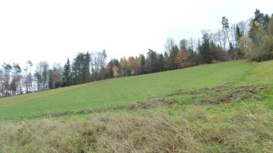 Foto 15 von 30 — land- und forstwirtschaftlich genutztes Grundstück