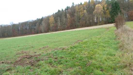 Foto 6 von 30 — land- und forstwirtschaftlich genutztes Grundstück