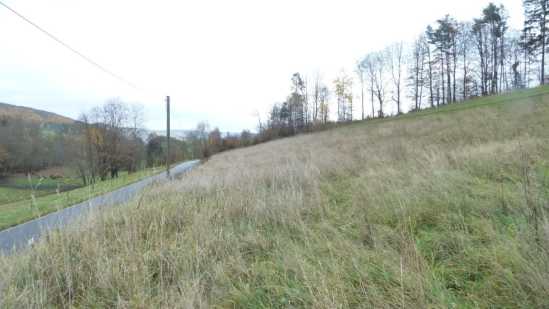 Foto 17 von 30 — land- und forstwirtschaftlich genutztes Grundstück