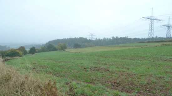 Foto 23 von 30 — land- und forstwirtschaftlich genutztes Grundstück