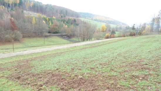 Foto 19 von 30 — land- und forstwirtschaftlich genutztes Grundstück