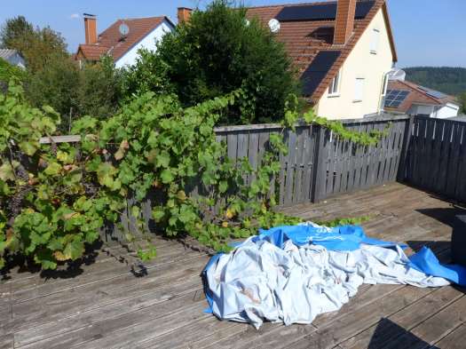 Foto 12 von 15 — Einfamilienhaus, mit Anbau, Keller