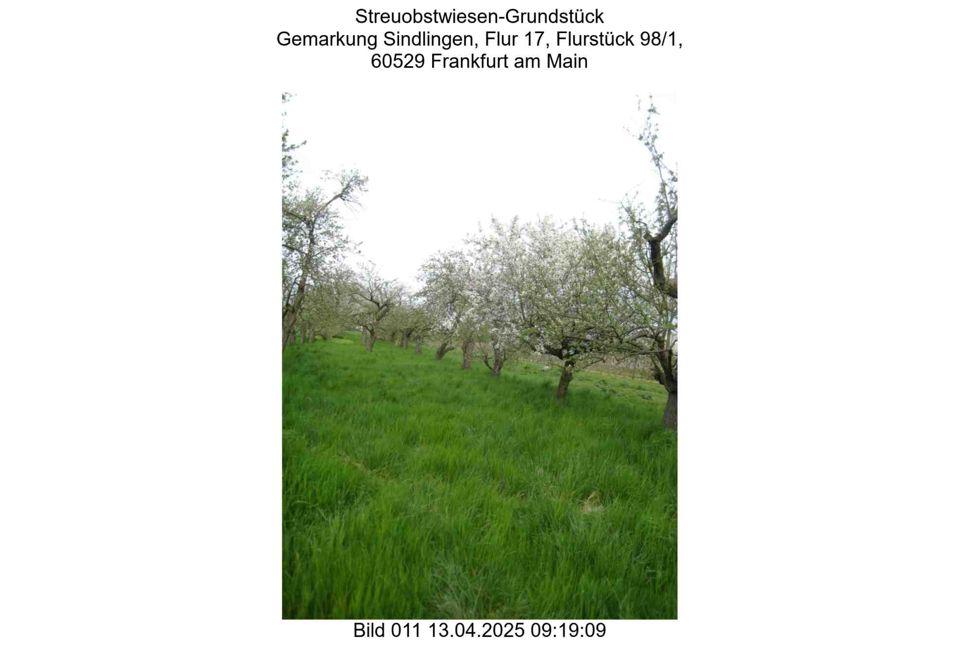 Foto 11 von 24 — land- und forstwirtschaftlich genutztes Grundstück