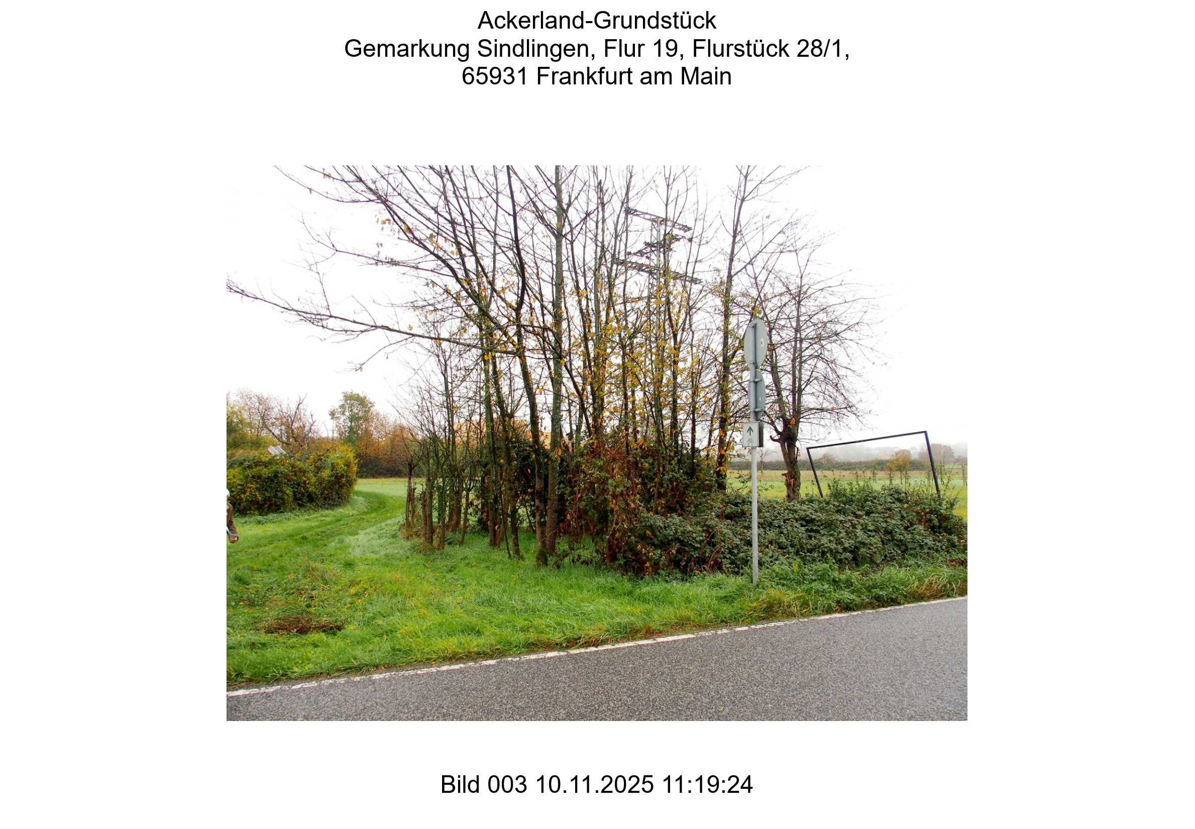 Foto 21 von 24 — land- und forstwirtschaftlich genutztes Grundstück