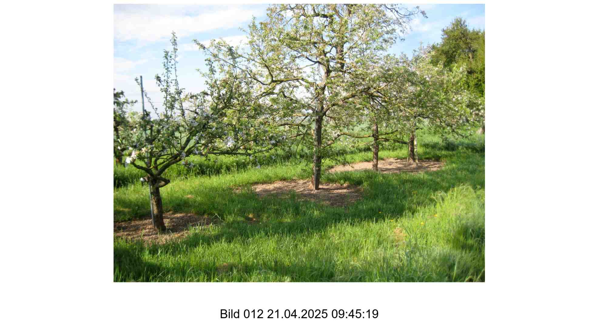 Foto 12 von 24 — land- und forstwirtschaftlich genutztes Grundstück