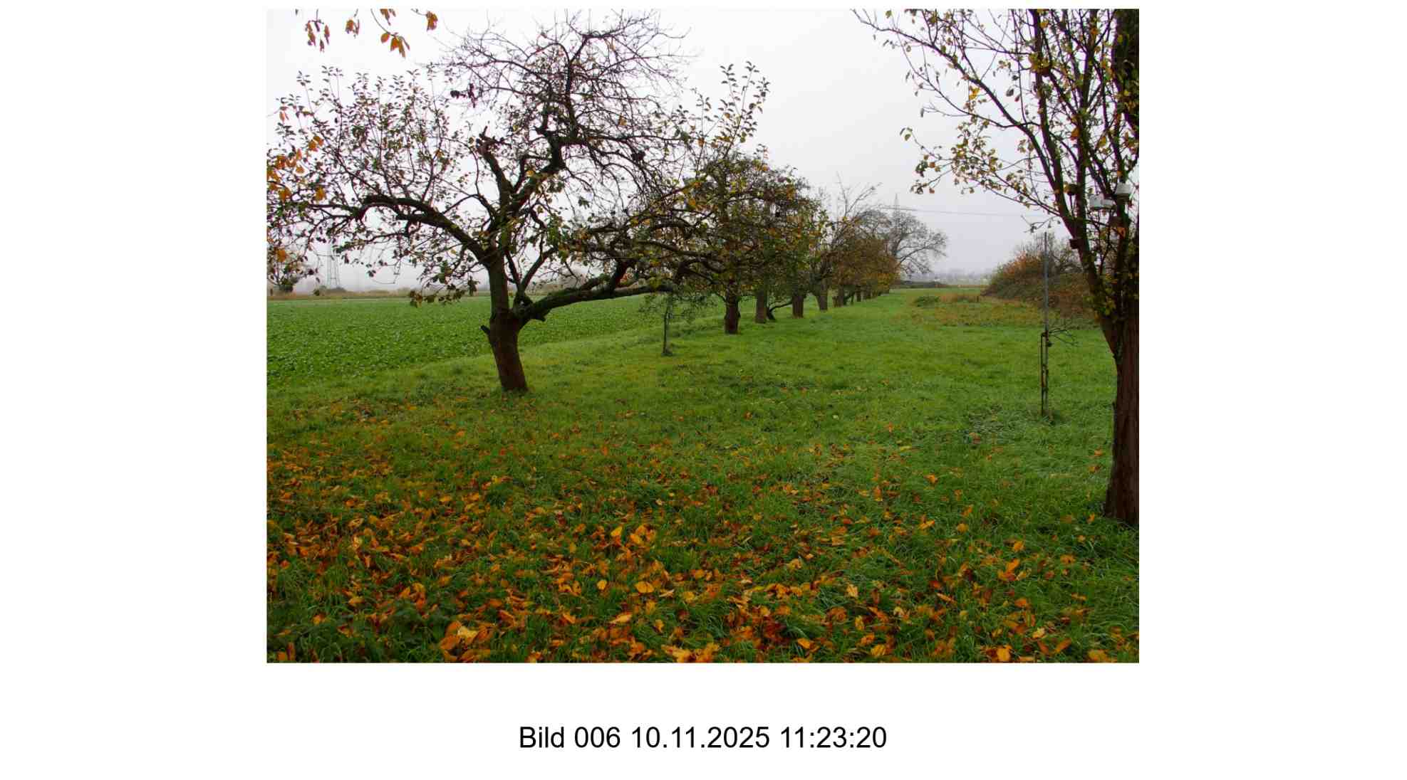 Foto 6 von 24 — land- und forstwirtschaftlich genutztes Grundstück