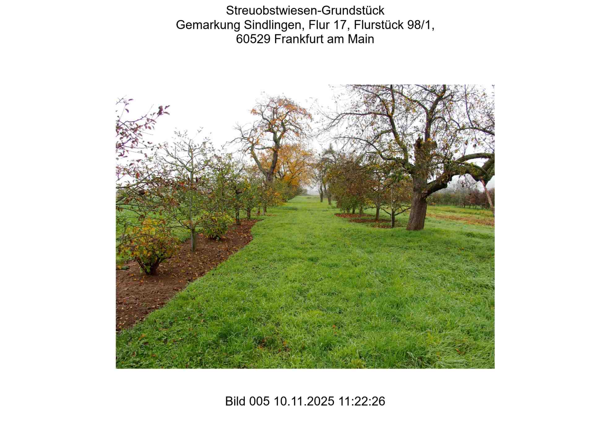Foto 5 von 24 — land- und forstwirtschaftlich genutztes Grundstück