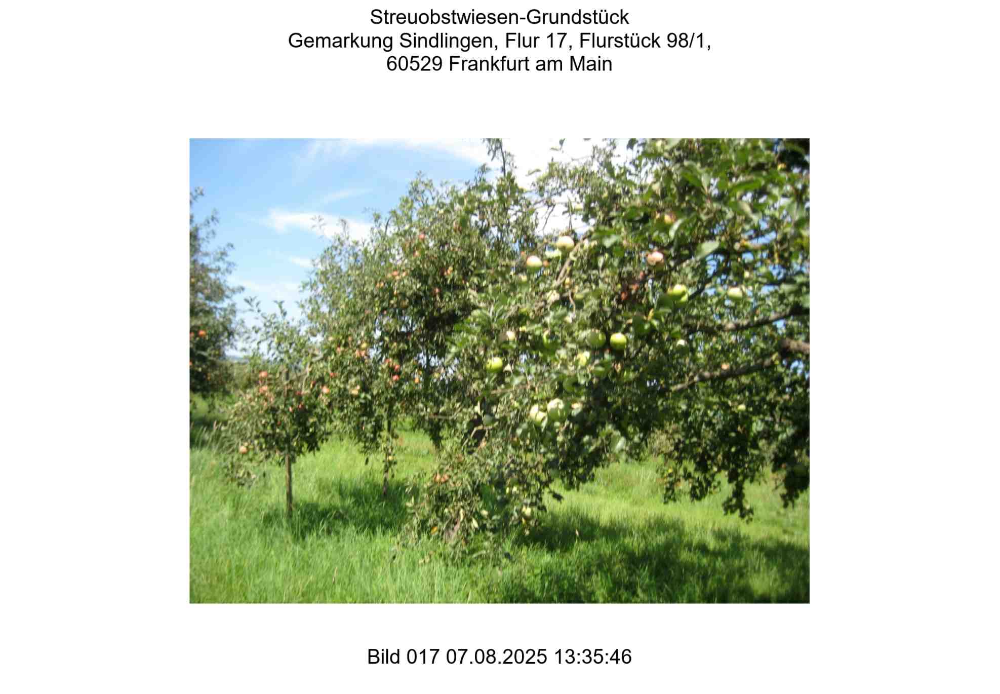 Foto 17 von 24 — land- und forstwirtschaftlich genutztes Grundstück