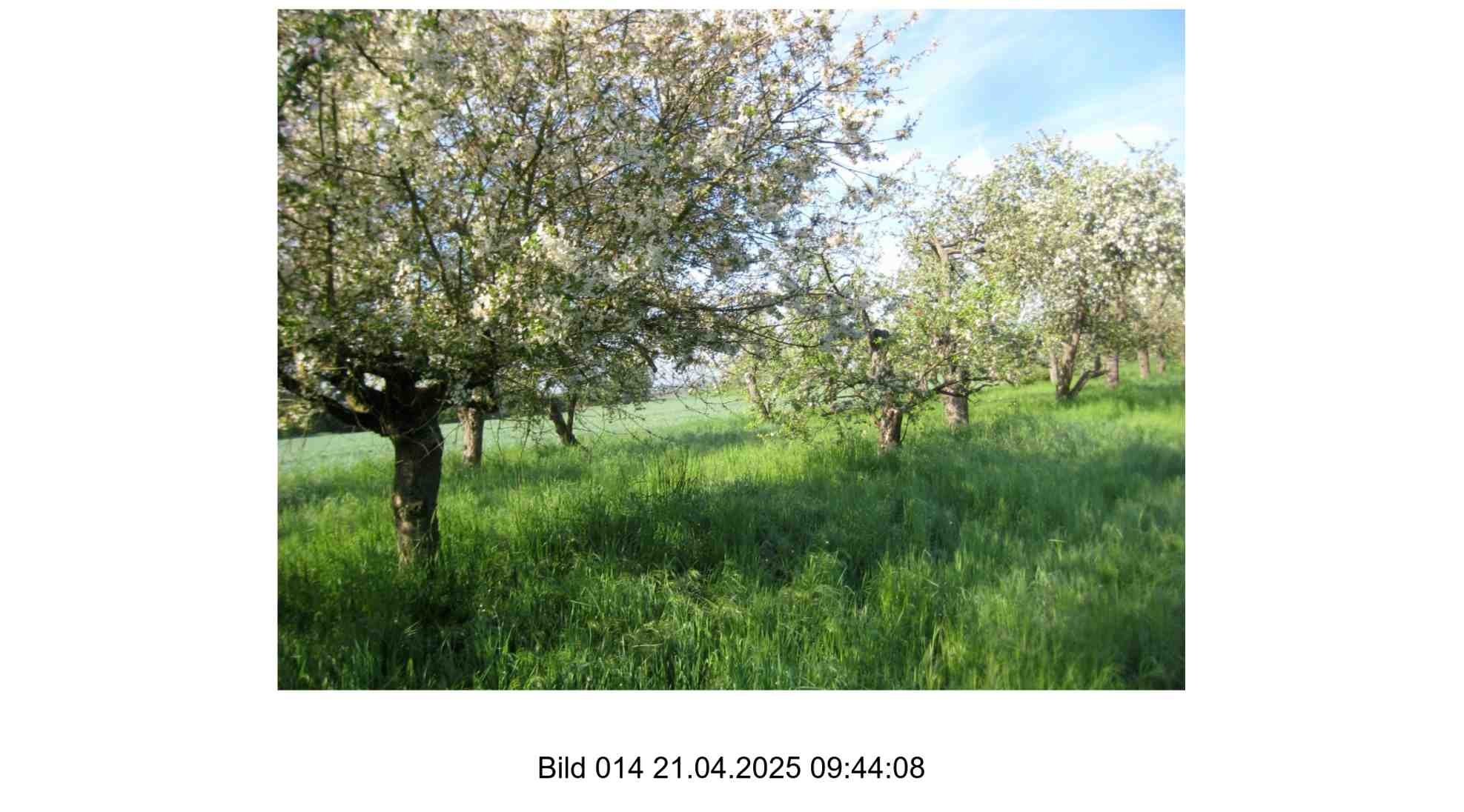 Foto 14 von 24 — land- und forstwirtschaftlich genutztes Grundstück