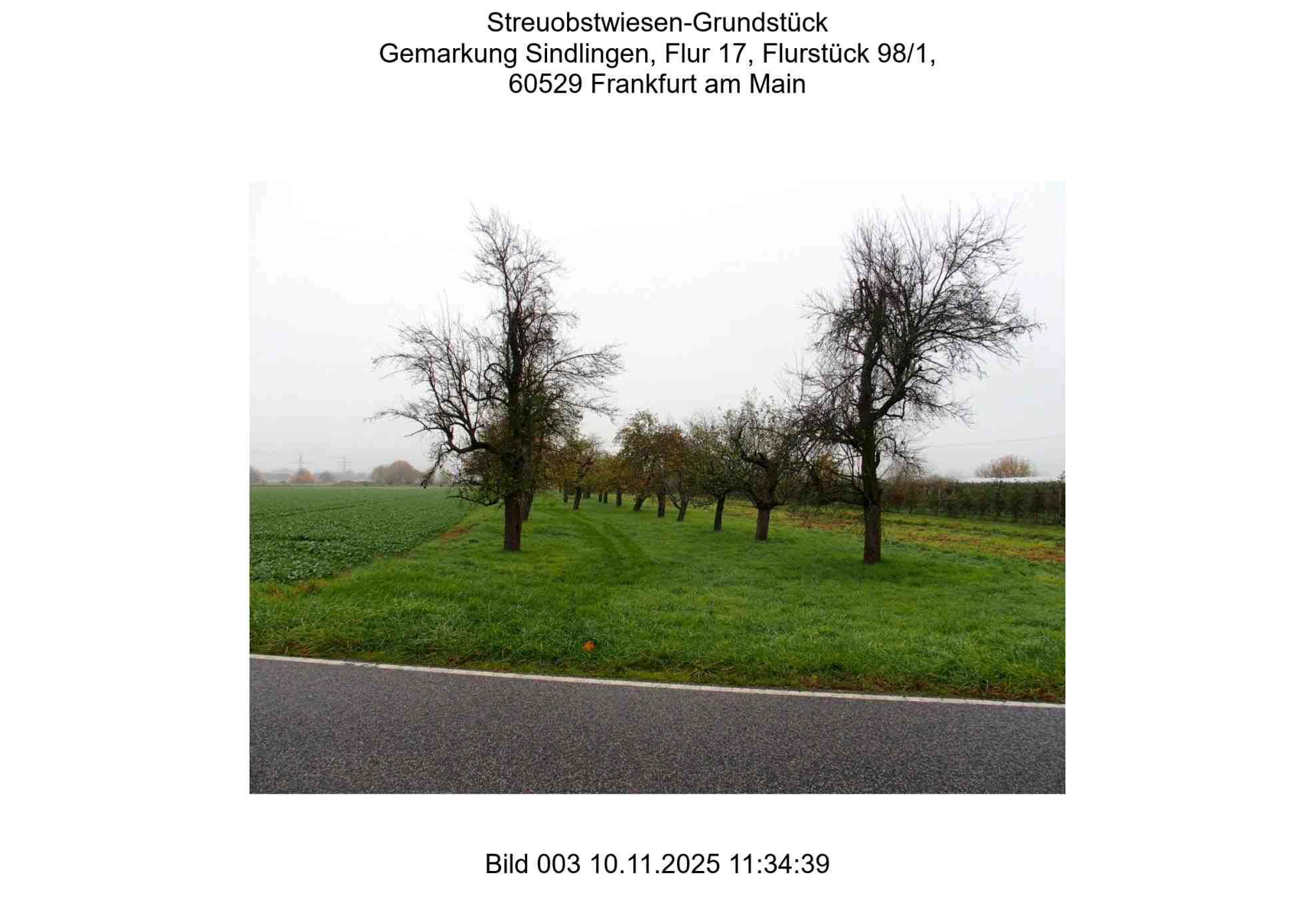 Foto 3 von 24 — land- und forstwirtschaftlich genutztes Grundstück