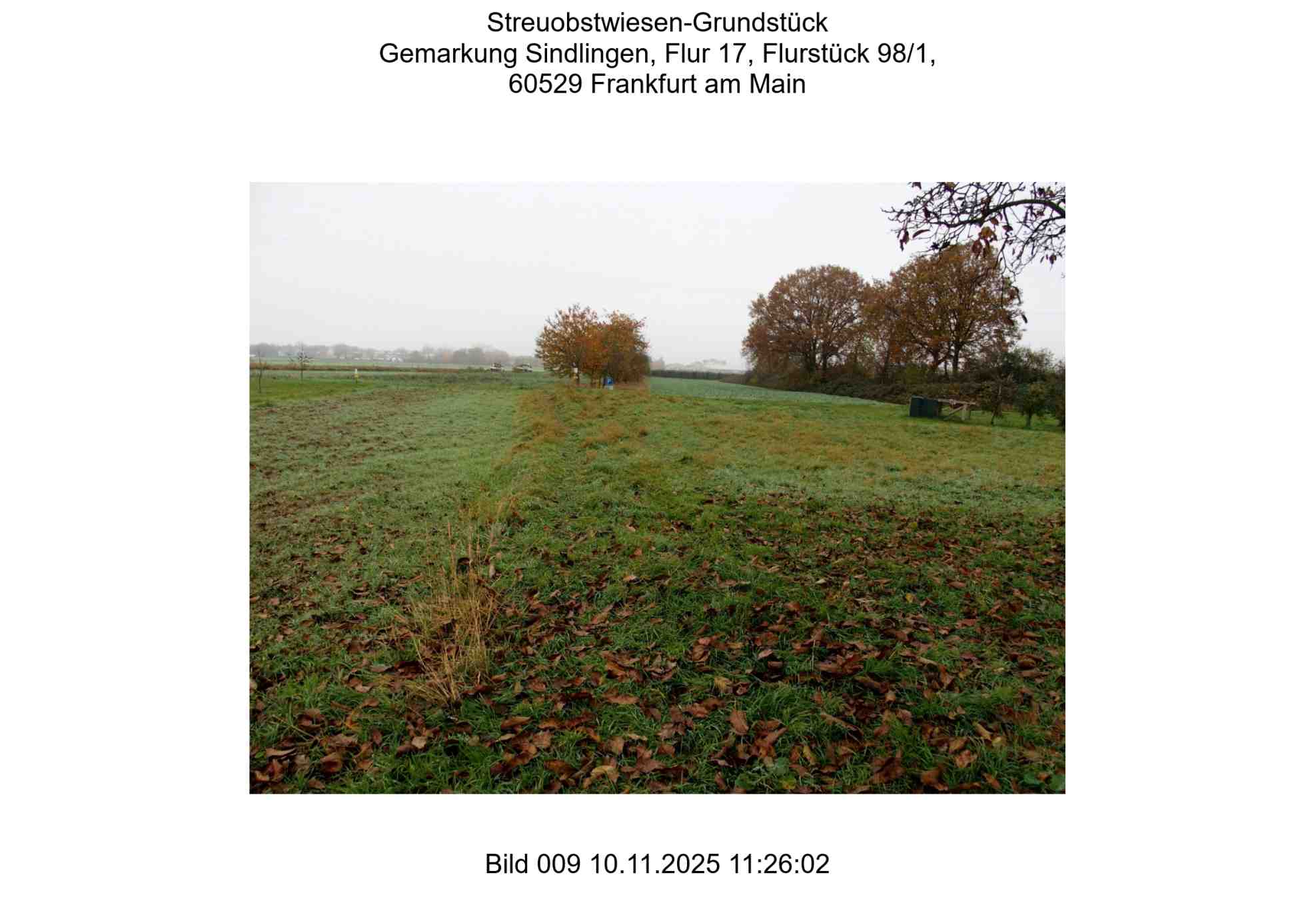 Foto 9 von 24 — land- und forstwirtschaftlich genutztes Grundstück