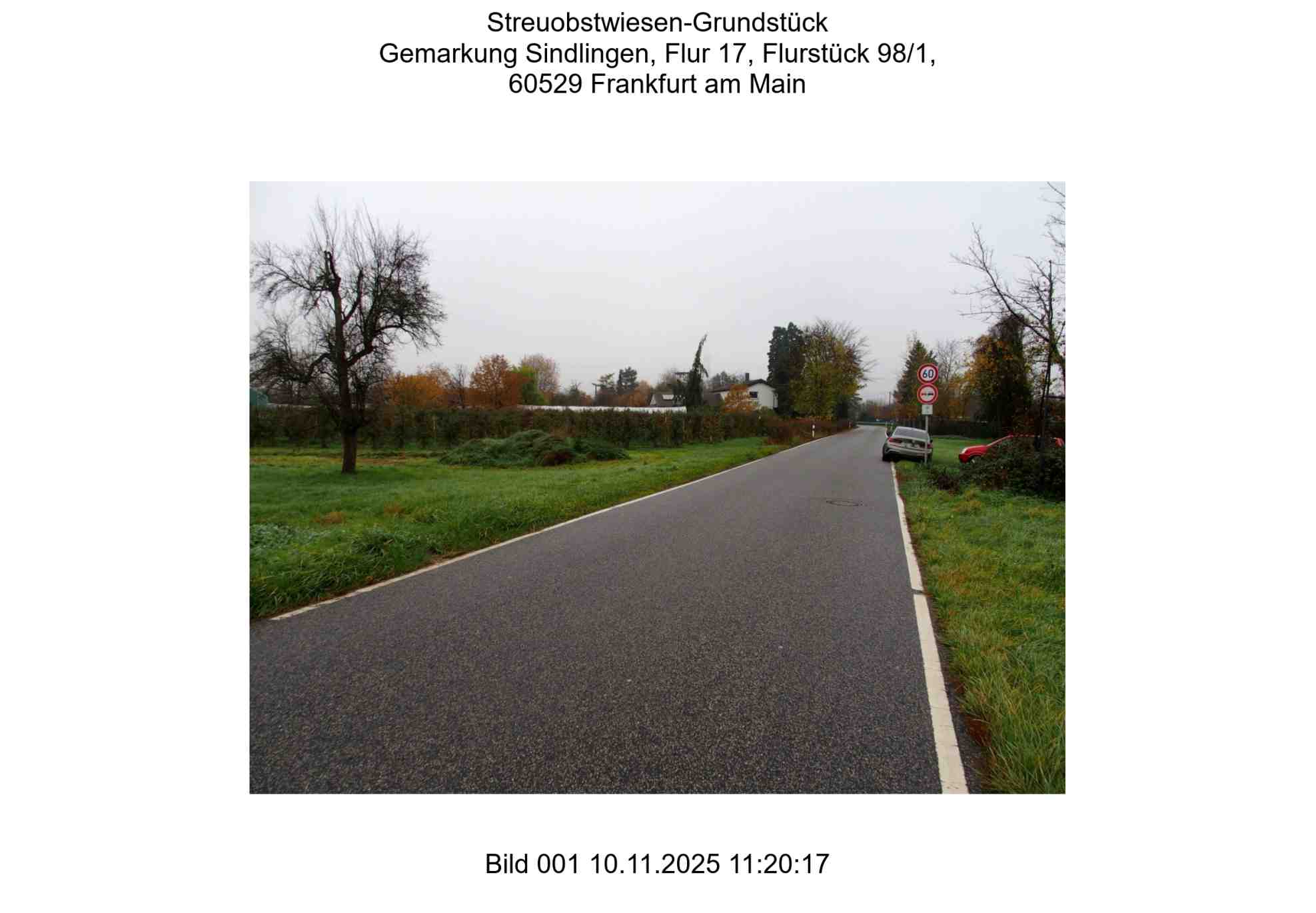 Foto 1 von 24 — land- und forstwirtschaftlich genutztes Grundstück