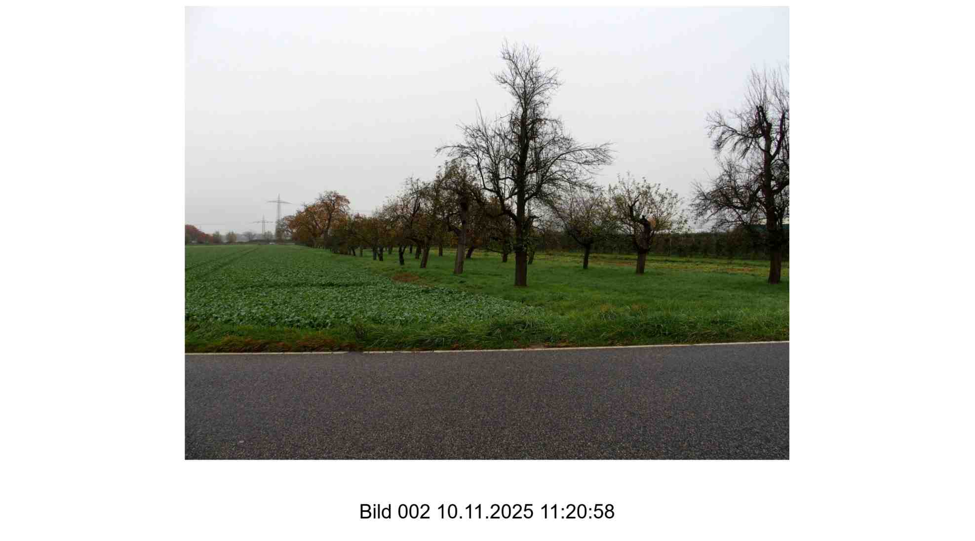 Foto 2 von 24 — land- und forstwirtschaftlich genutztes Grundstück