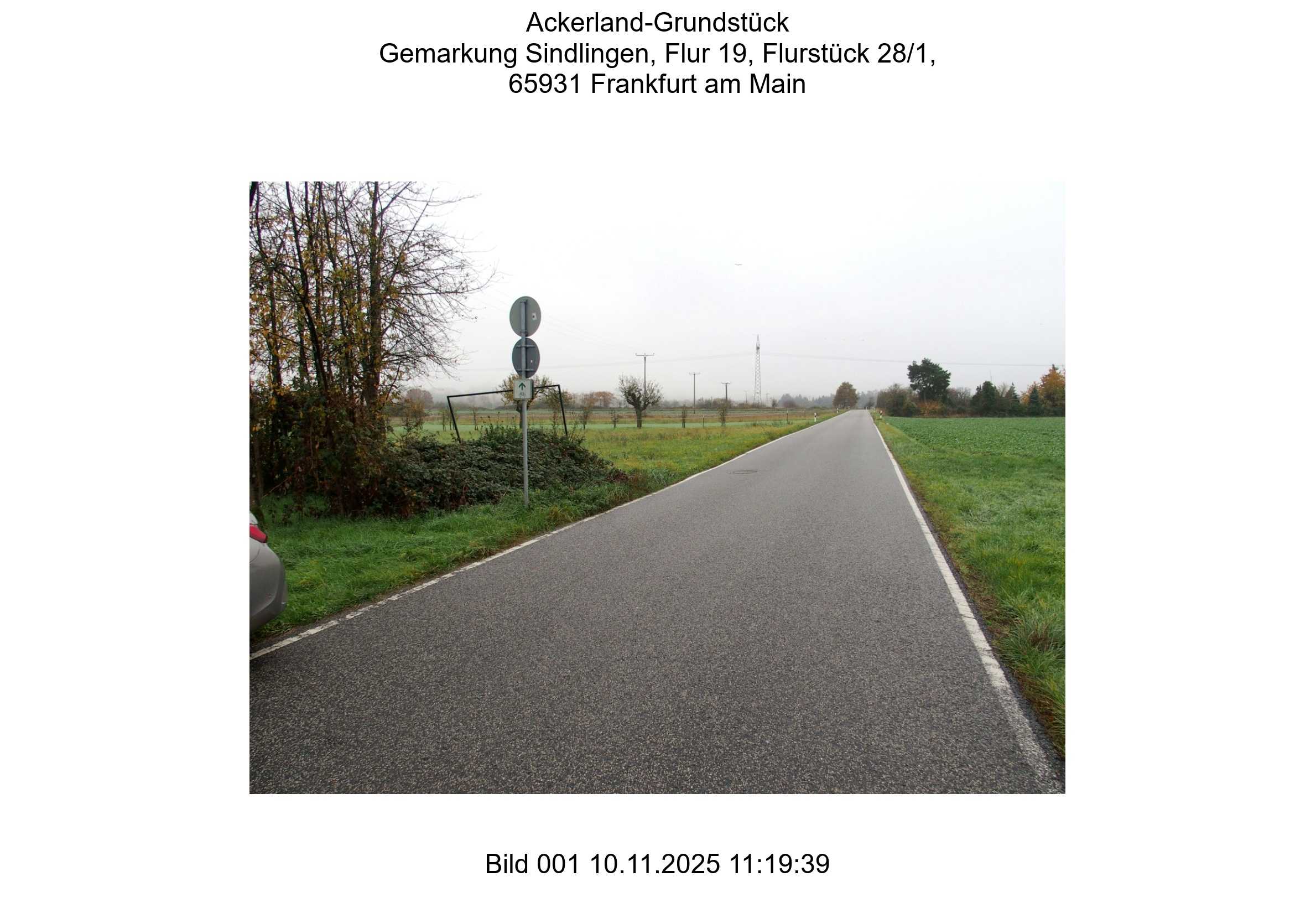 Foto 19 von 24 — land- und forstwirtschaftlich genutztes Grundstück