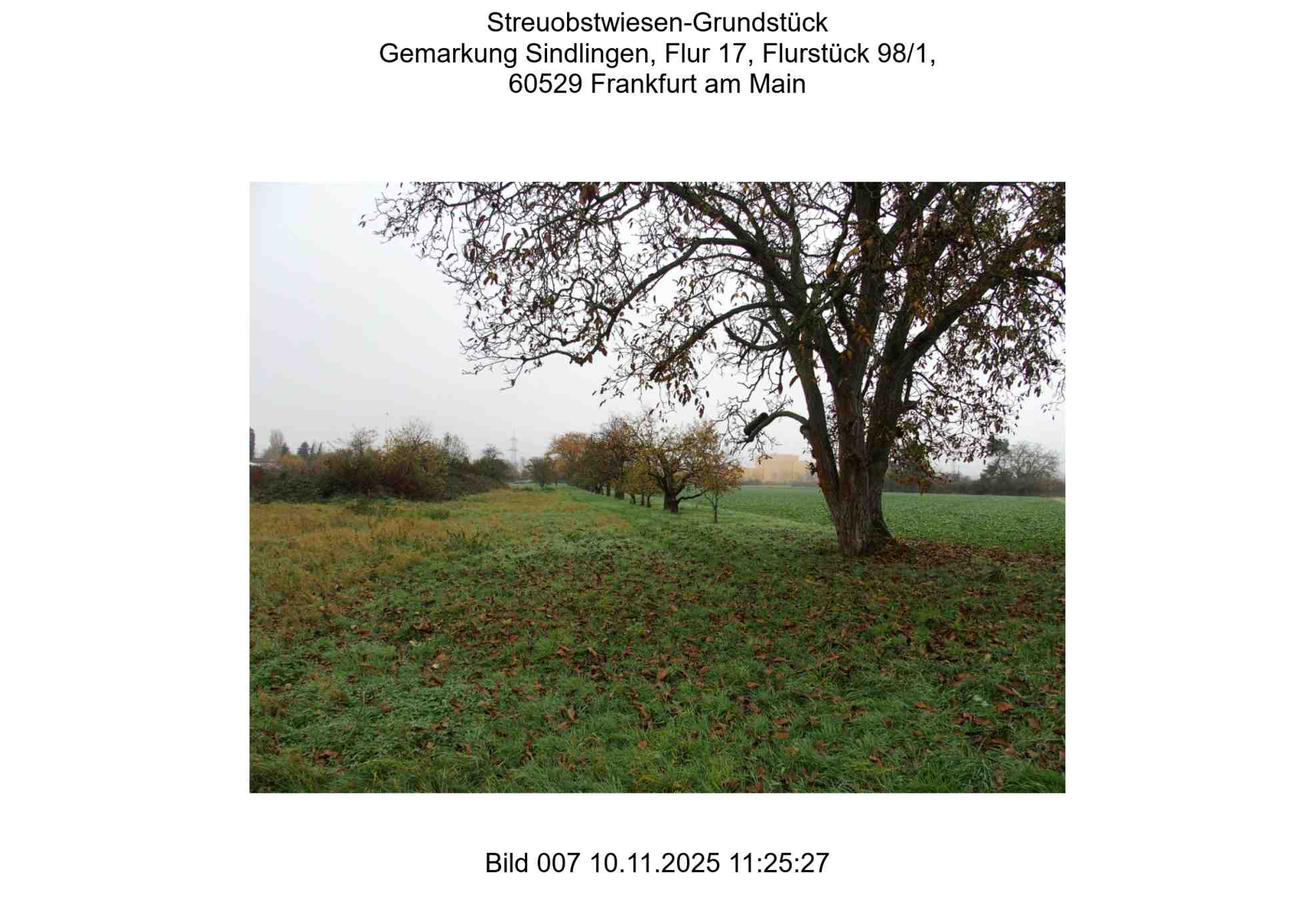 Foto 7 von 24 — land- und forstwirtschaftlich genutztes Grundstück