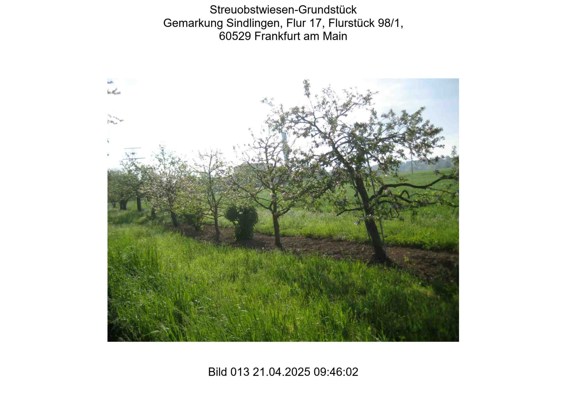 Foto 13 von 24 — land- und forstwirtschaftlich genutztes Grundstück
