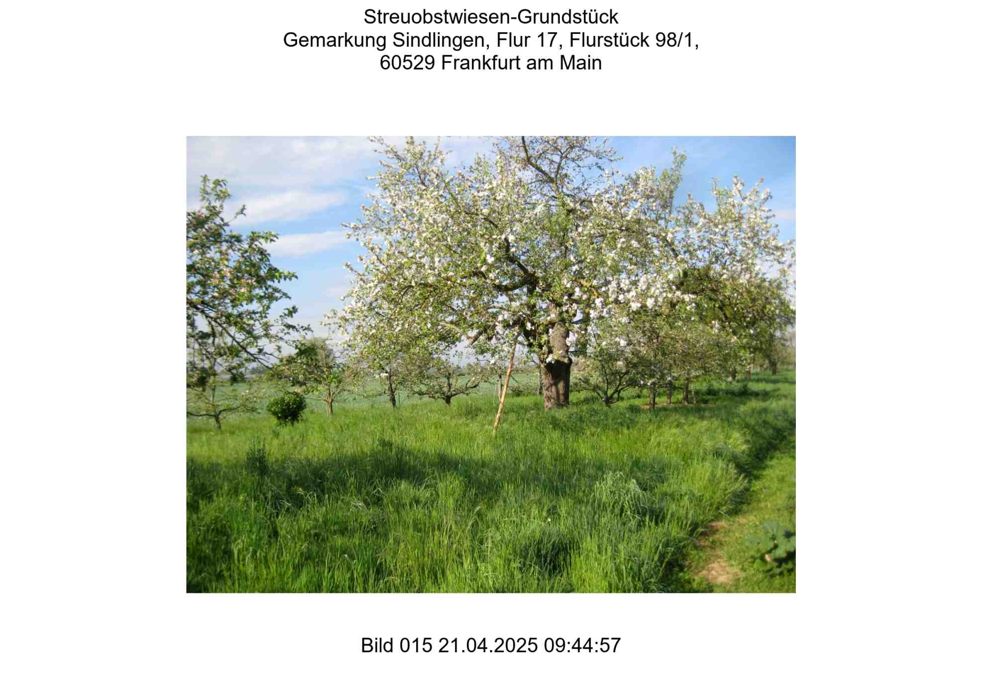 Foto 15 von 24 — land- und forstwirtschaftlich genutztes Grundstück