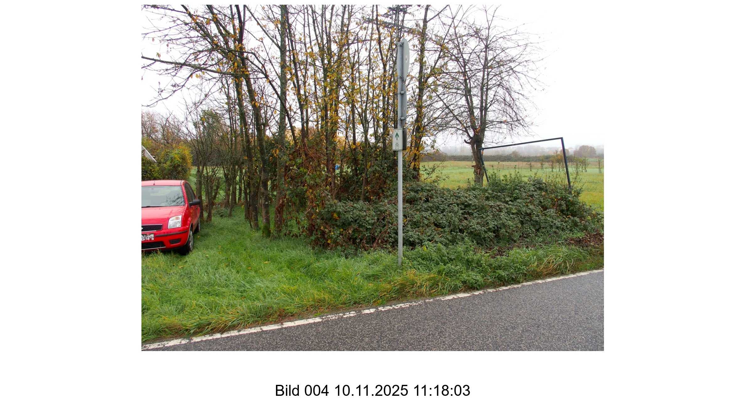Foto 22 von 24 — land- und forstwirtschaftlich genutztes Grundstück