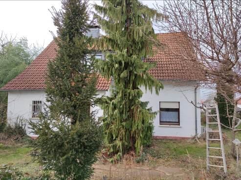 Foto 14 von 38 — Einfamilienhaus, Garage