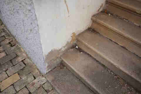 Foto 44 von 53 — Einfamilienhaus, Garage, Sonstiges