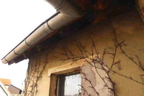 Foto 40 von 53 — Einfamilienhaus, Garage, Sonstiges