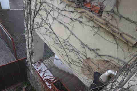 Foto 39 von 53 — Einfamilienhaus, Garage, Sonstiges
