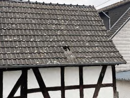 Foto 18 von 39 — Mehrfamilienhaus