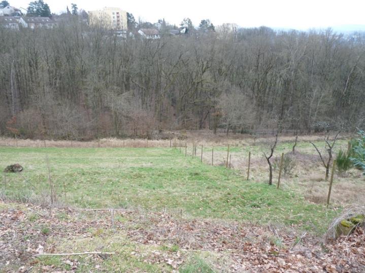 Foto 2 von 4 — unbebautes Grundstück